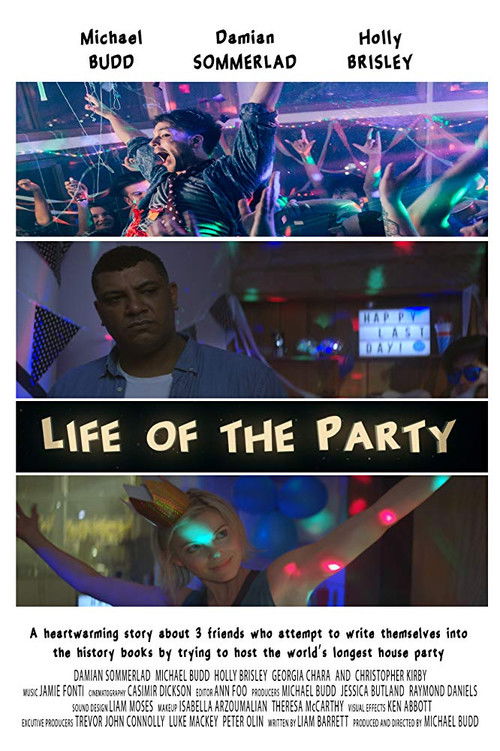Life of the Party (2017) poster