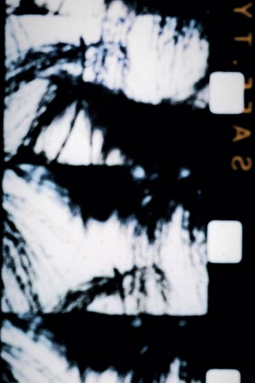 Songshu (1996) poster