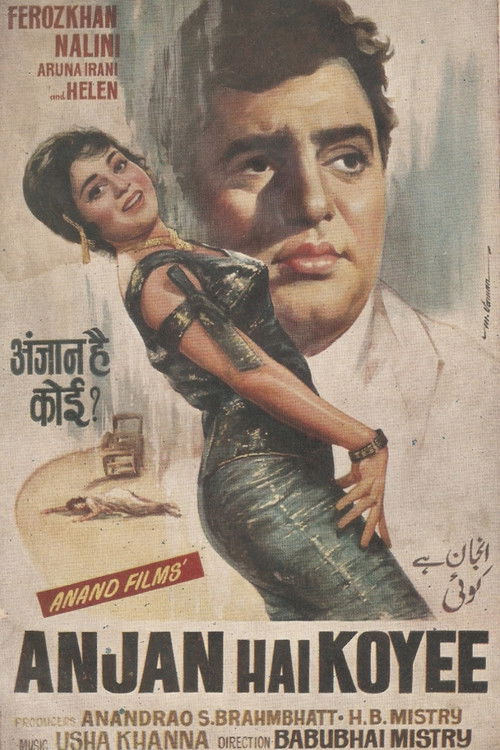 Anjan Hai Koyee (1969) poster