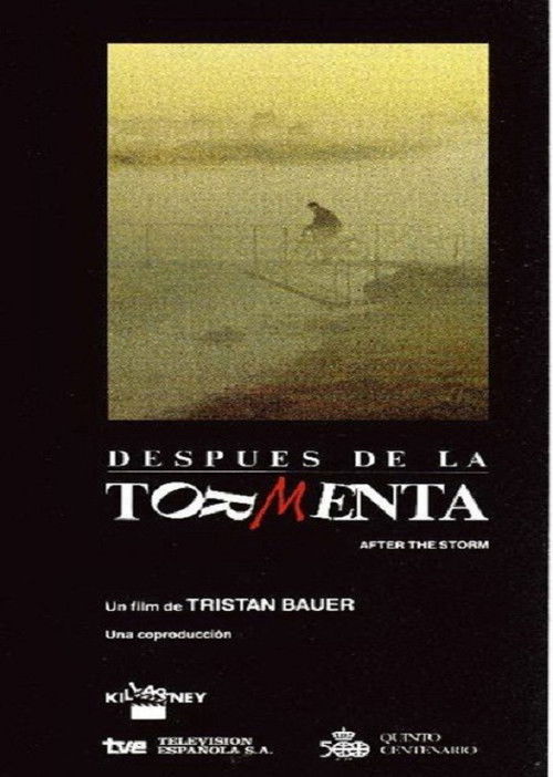 Después de la tormenta (1991) poster