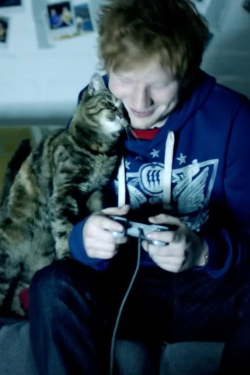 Ed Sheeran: Drunk (2012) poster