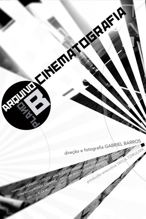 Cinematography (2008) poster