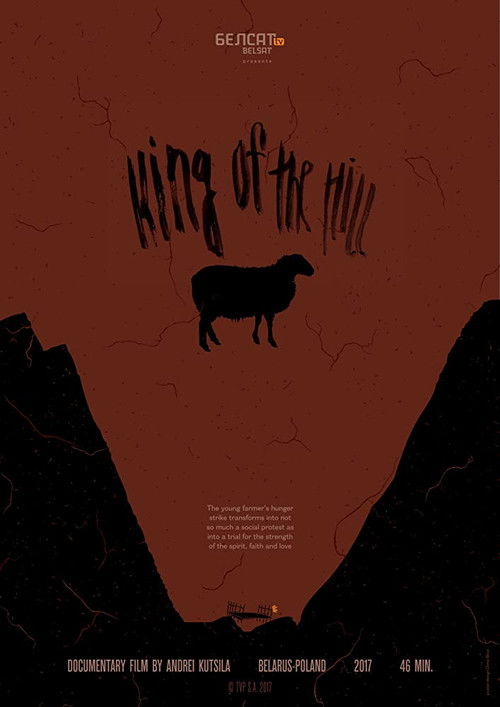 King of the Hill (2017) poster