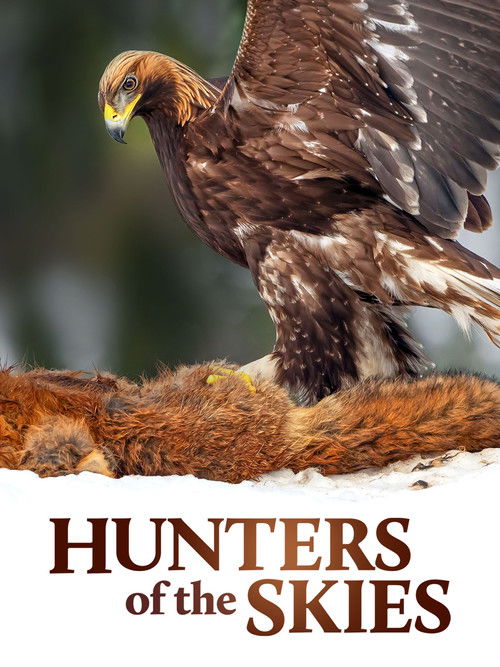 Hunters of the Skies (2018) poster
