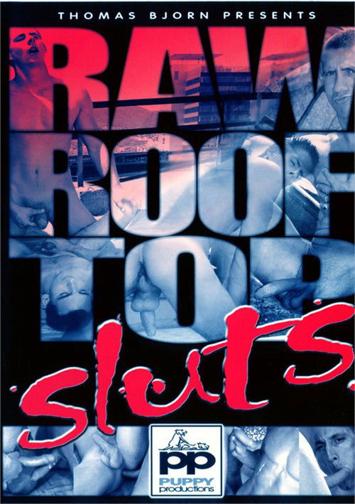 Raw Roof Top Sluts (2007) poster