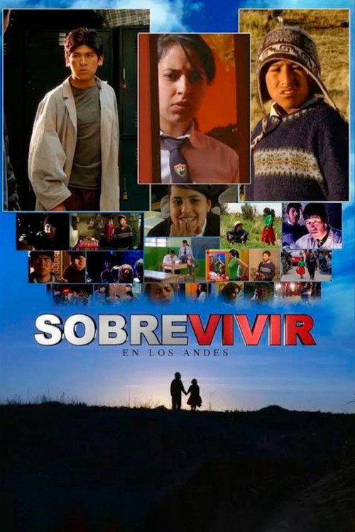 Sobrevivir en los Andes (2010) poster