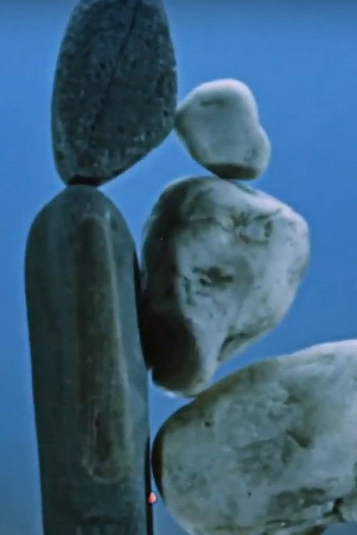 Kámen a život (1966) poster