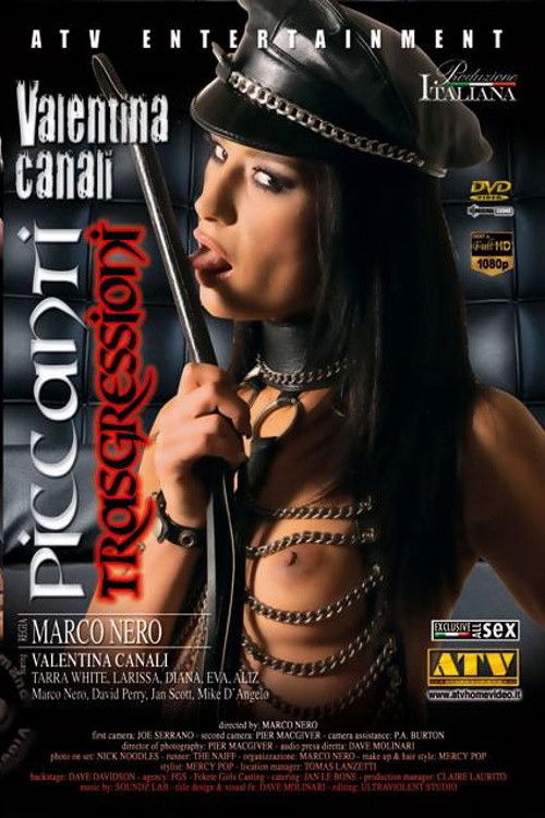 Piccanti Trasgressioni (2011) poster