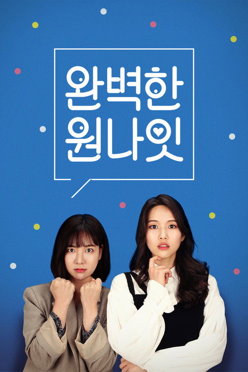 완벽한 원나잇 (2020) poster