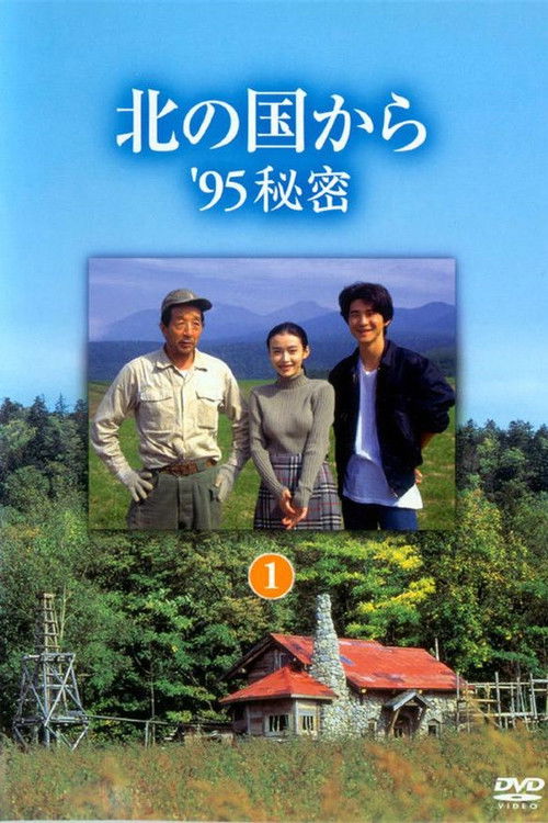 北の国から ’95秘密 後編 (1995) poster