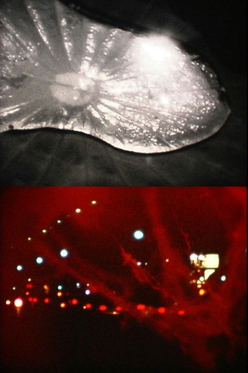 Echo Park (2007) poster