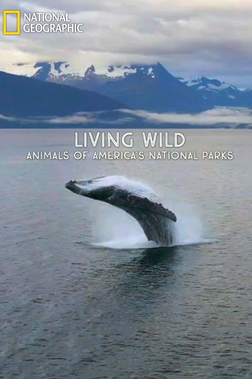 Living Wild: Animals of America’s National Parks (2022) poster