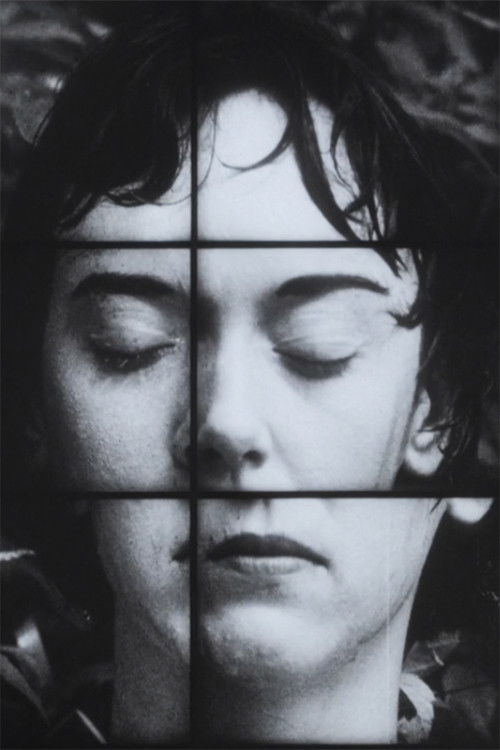 A Temporary Arrangement (1995) poster