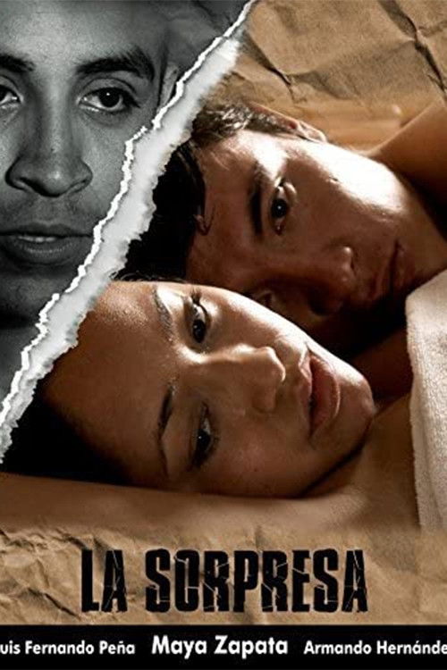 La sorpresa (2008) poster