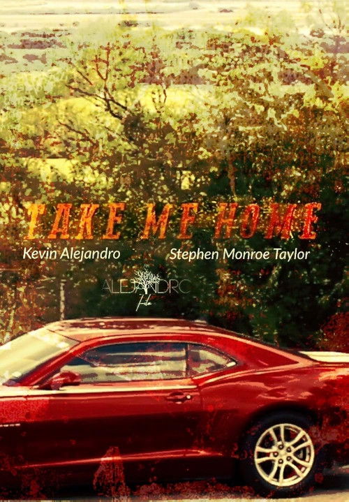 Take Me Home (2016) poster