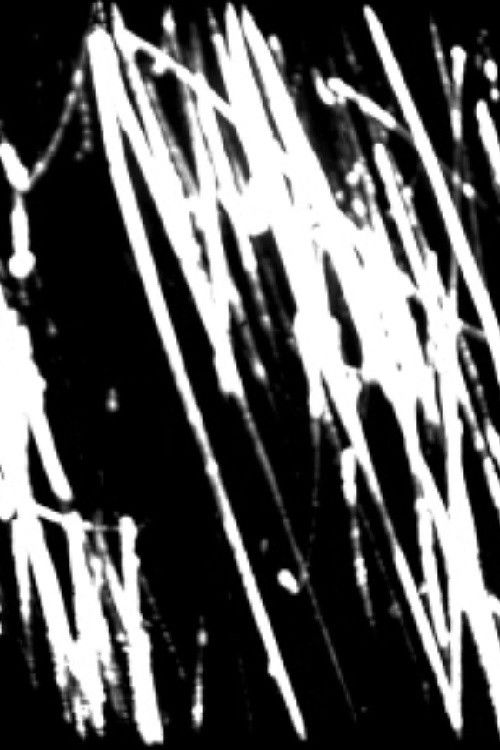 Bye Bye Black Bird (2020) poster