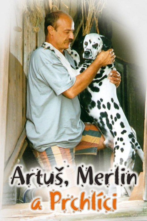 Artuš, Merlin a Prchlíci (1995) poster