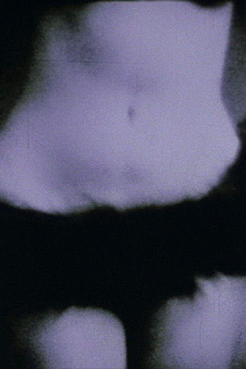 Cross-Cut–A Blue Movie (1969) poster