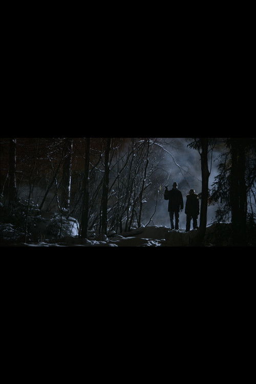 Case Rabbit (2013) poster