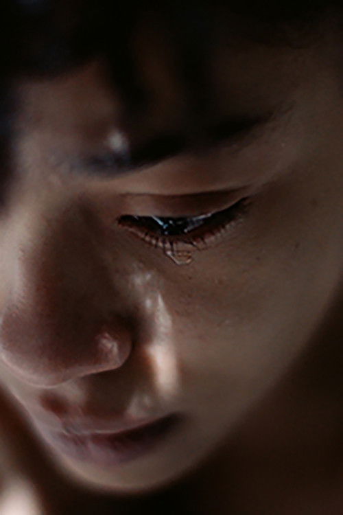 the past (2021) poster