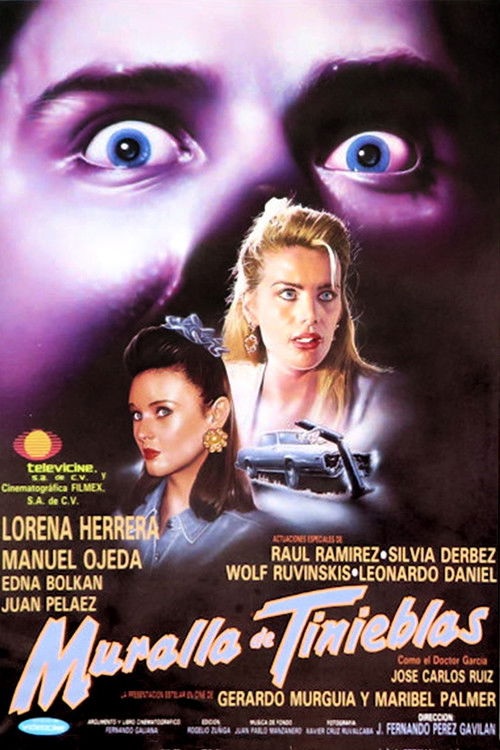 Wall of Darkness (1994) poster