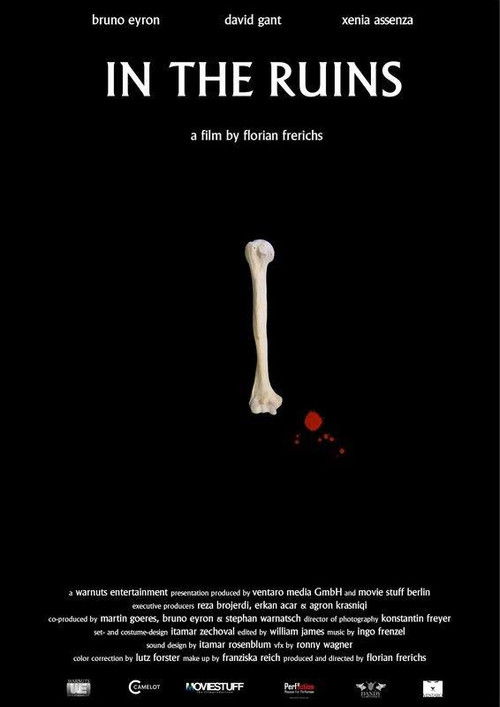 In the Ruins (2016) poster