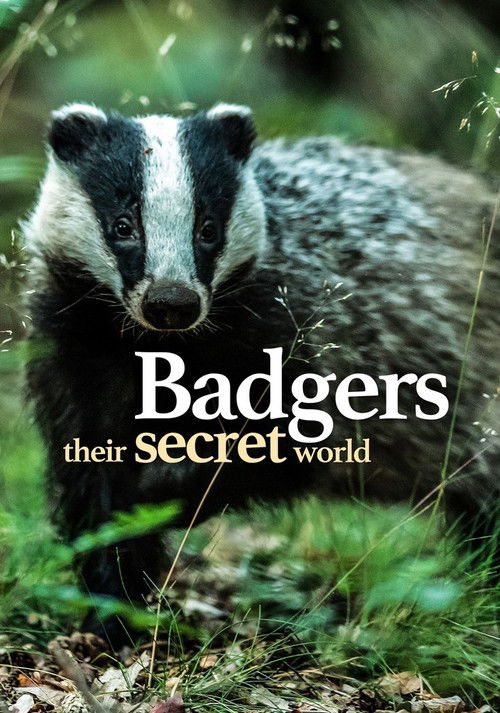 Badgers: Their Secret World (2025) poster
