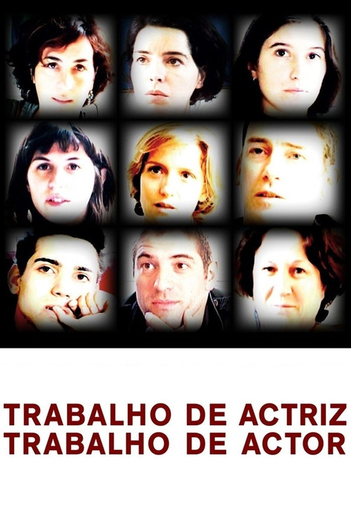 The Actor's Work (2011) poster