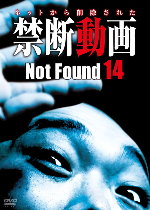Not Found 14 (2014) poster