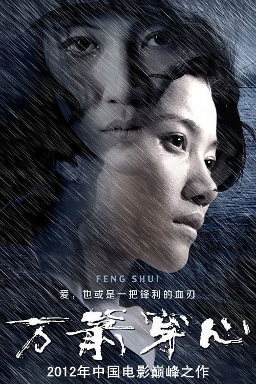 Feng Shui (2012) poster