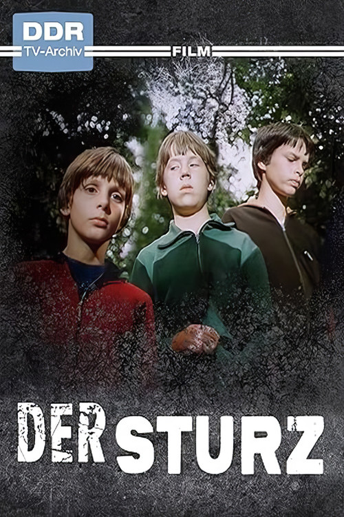Der Sturz (1982) poster