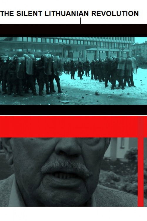 The Silent Lithuanian Revolution (2013) poster