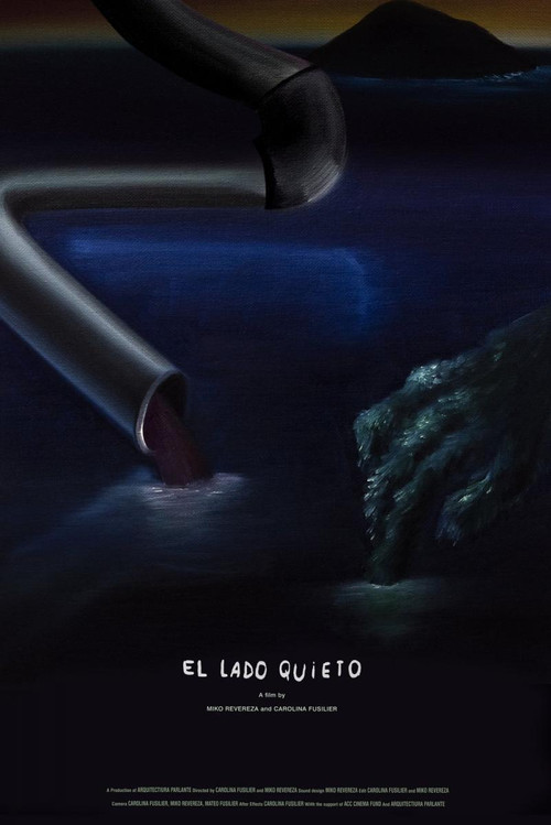 The Still Side (2021) poster