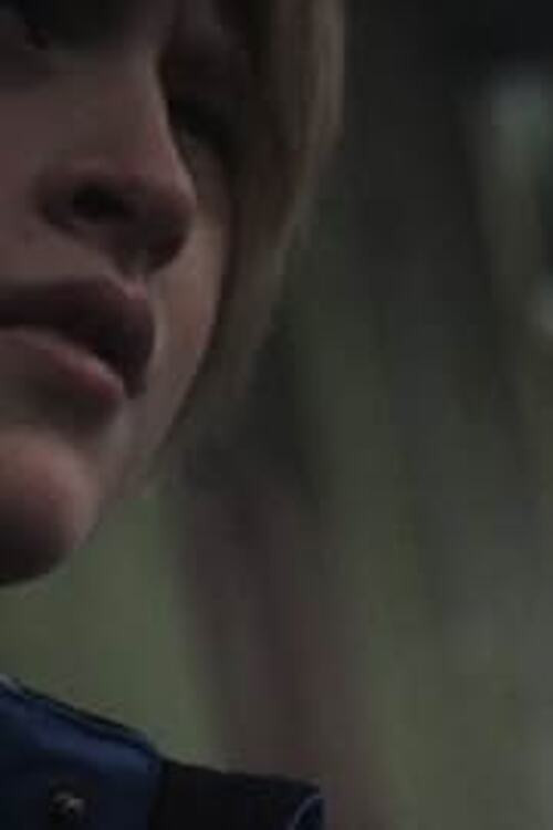 The Westerner (2010) poster