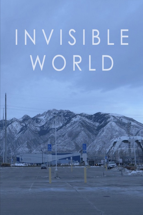 Invisible World (2022) poster