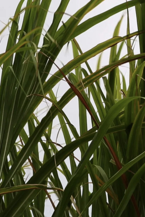 There’s a Hole in the Sky Part I (2016) poster