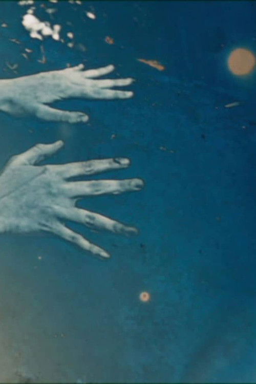 Markings 1-3 (2012) poster