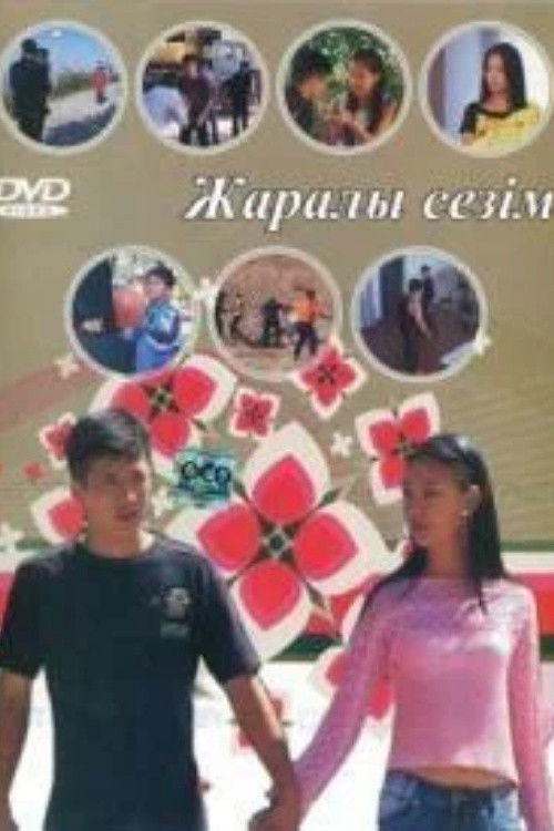 Wounded Feeling (2007) poster