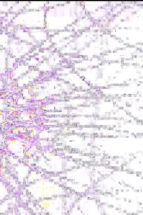 White Altaïr (2007) poster