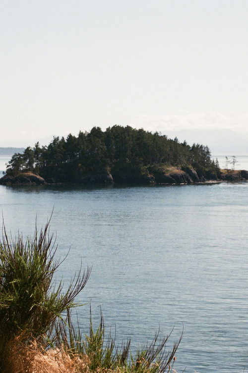 happy birthday (2023) poster