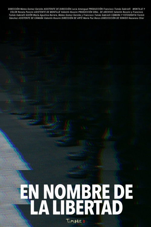 In the Name of Liberty (2024) poster