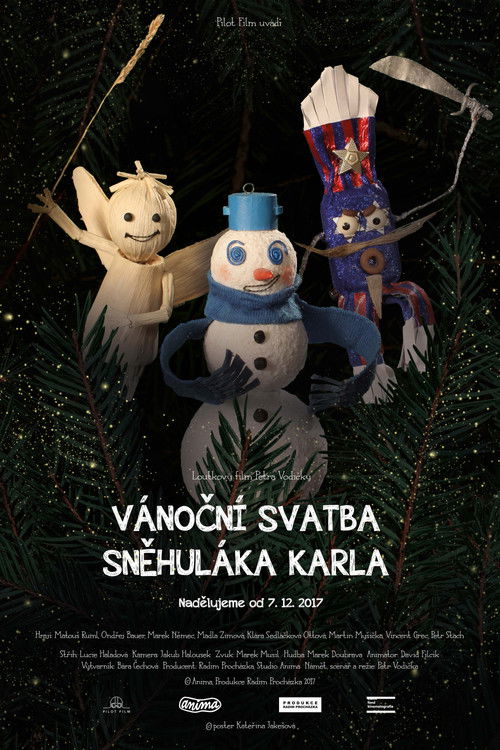 Vánoční svatba sněhuláka Karla (2017) poster