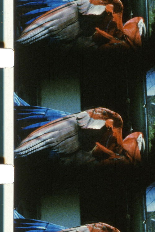 Glossolalia (2014) poster