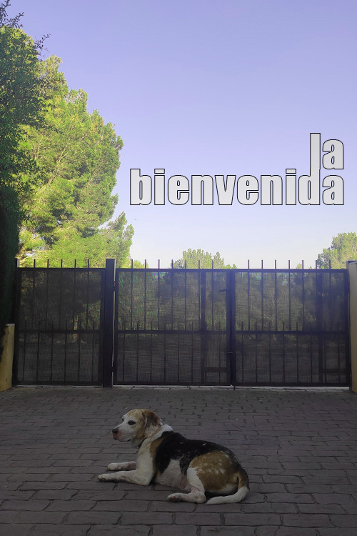 La bienvenida (2023) poster
