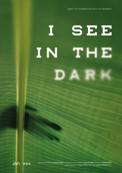 I See in the Dark (2019) poster