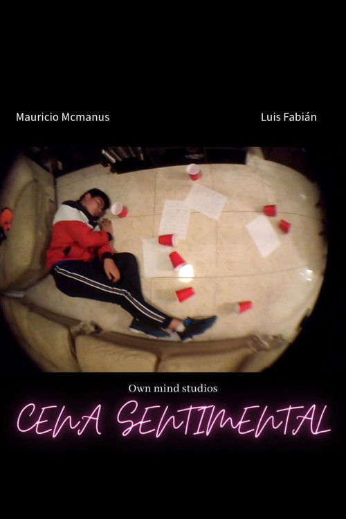 A sentimental dinner (2019) poster