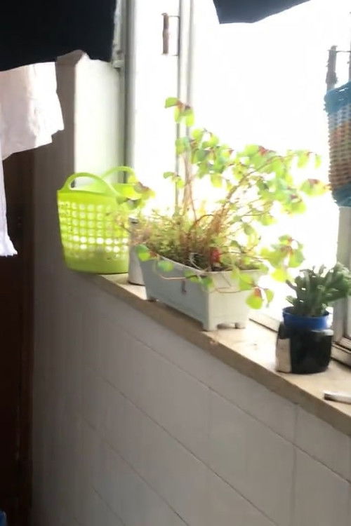 Carta para o Cauê (2021) poster