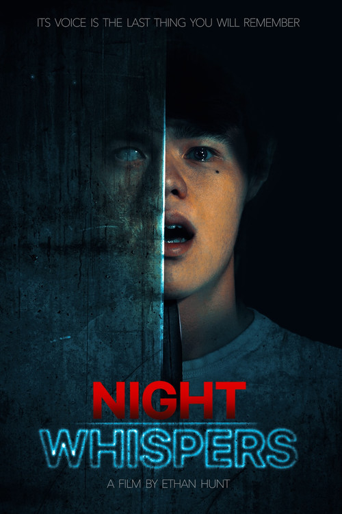 Night Whispers (2024) poster