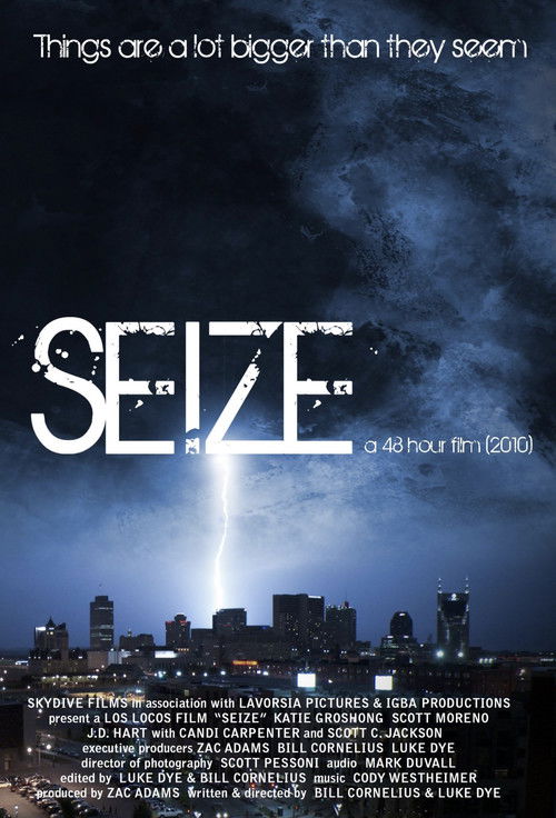 Seize (2010) poster