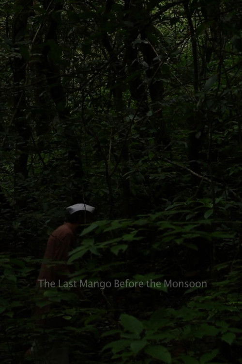 The Last Mango Before the Monsoon (2015) poster